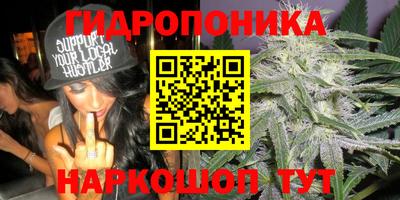 скорость Лесосибирск