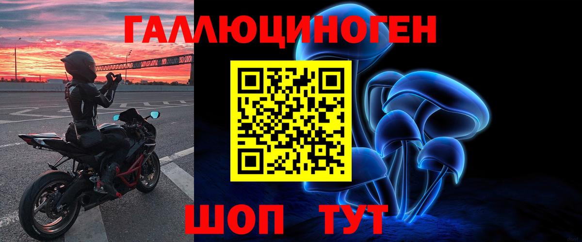 Псилоцибиновые грибы Cubensis Светлоград